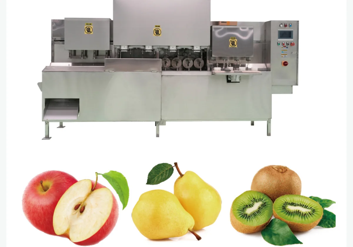 Apple Peeling & Segmenting Machine for food processing