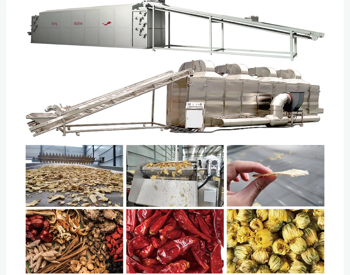 Multi-Layer Drying Production Line food processing equipment