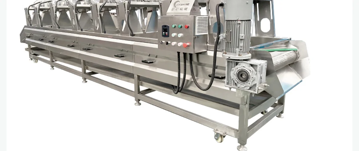 Fruit & Vegetable Air-Drying Conveyor for food processing