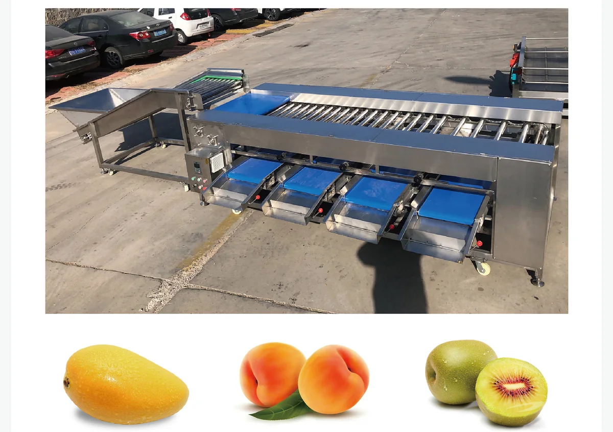 Roller Grading Machine for food processing