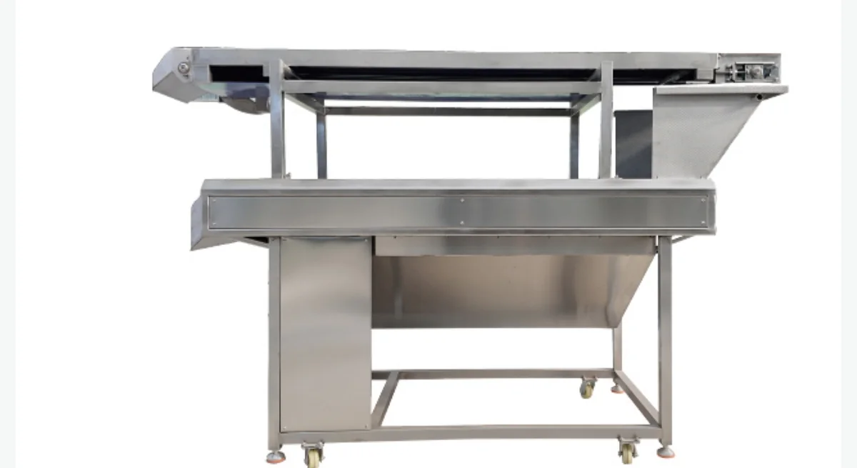 Roller Sorting Conveyor for food processing