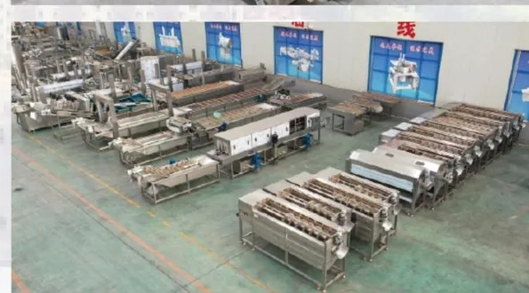 Washing and conveying equipment area for food line projects