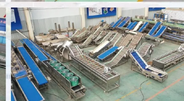 Belt conveyor and food machinery preparation modules